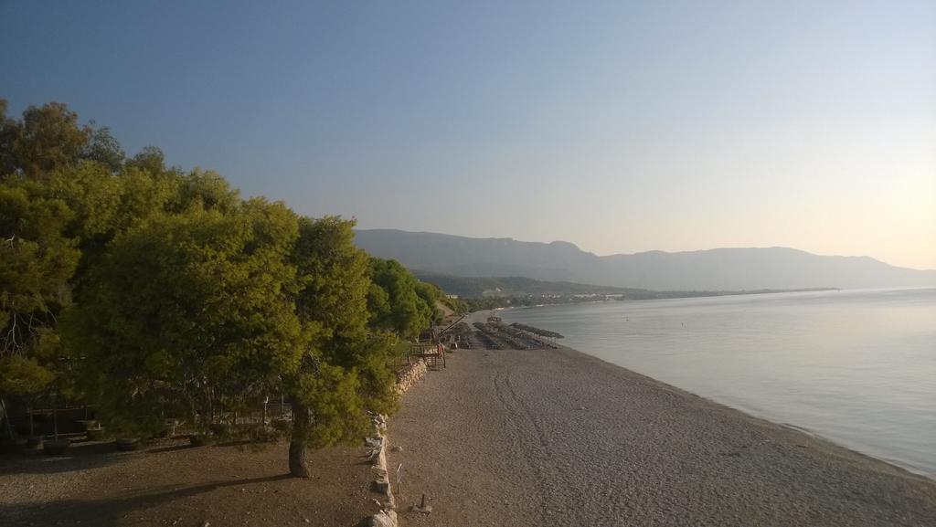 Siagas Beach Hotel Agii Theodori Exterior foto