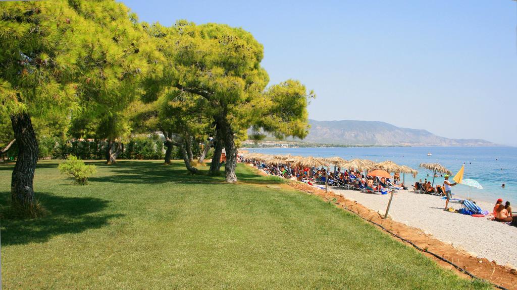Siagas Beach Hotel Agii Theodori Exterior foto